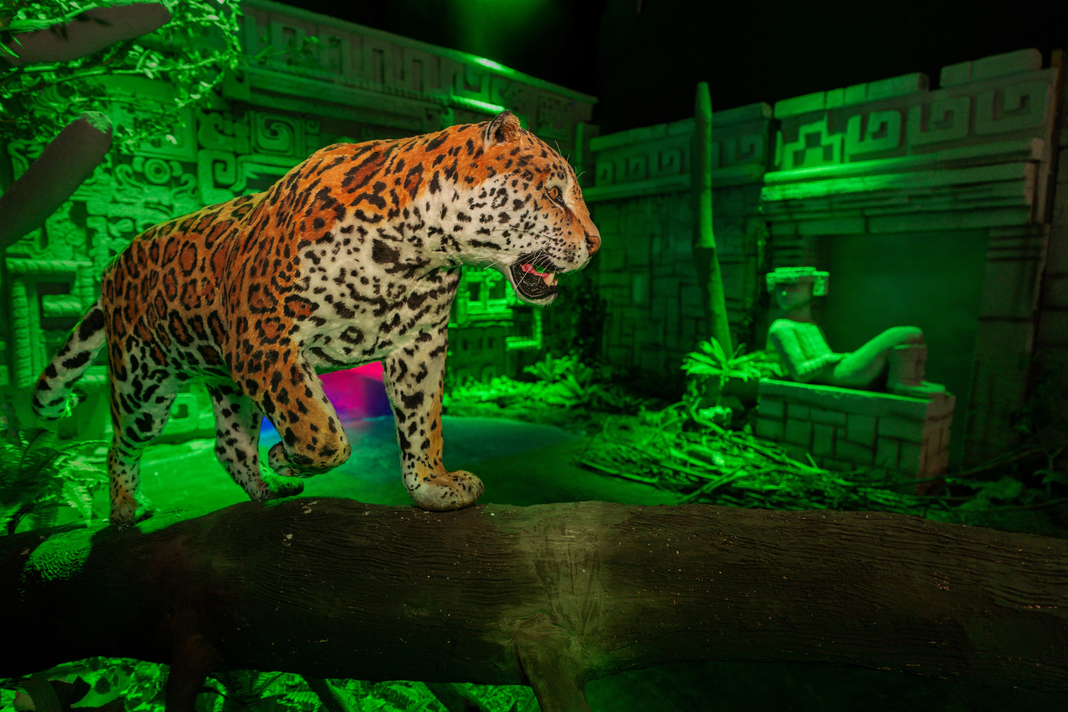 Dark Ride
