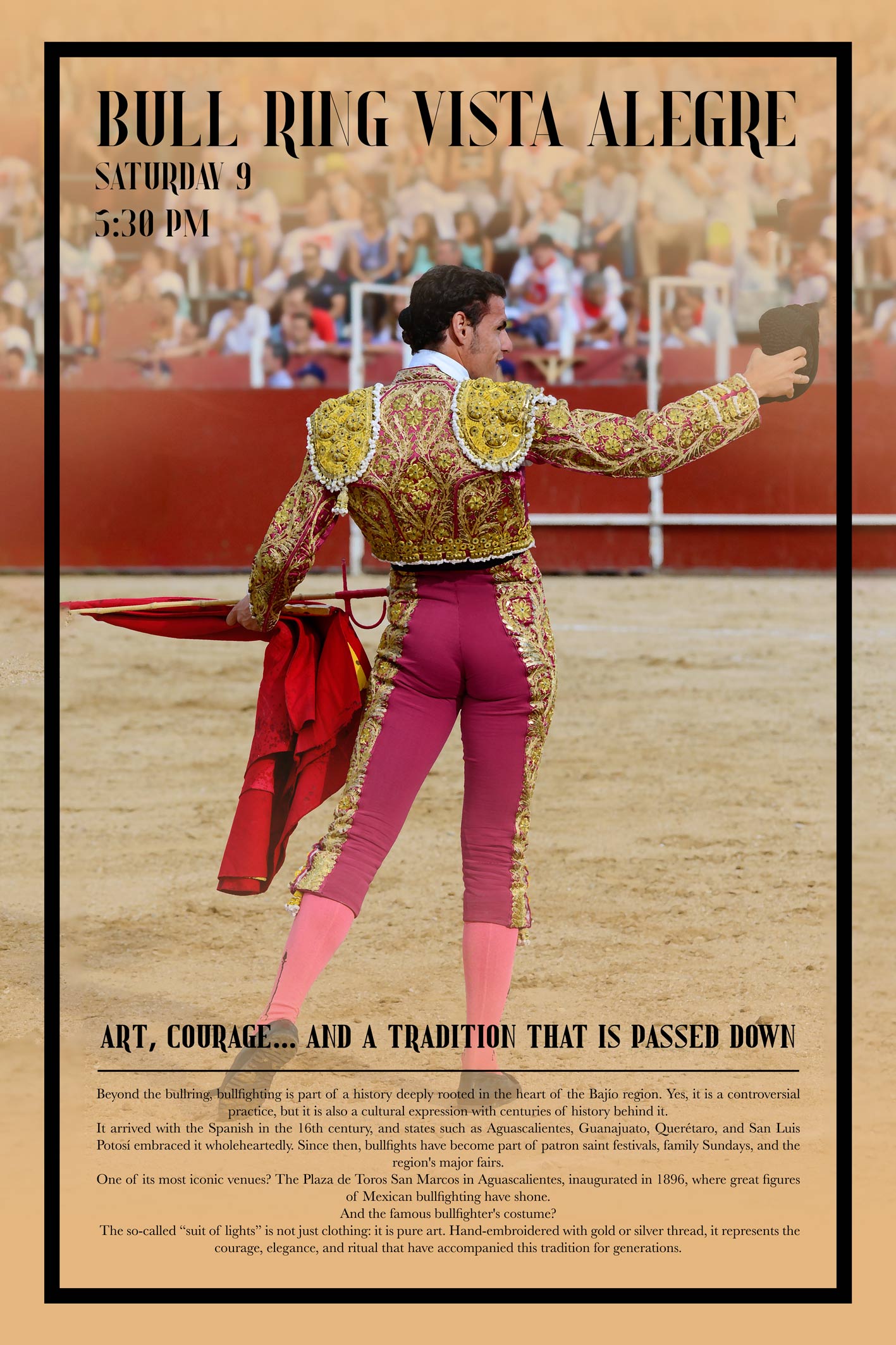 Imagen 6
