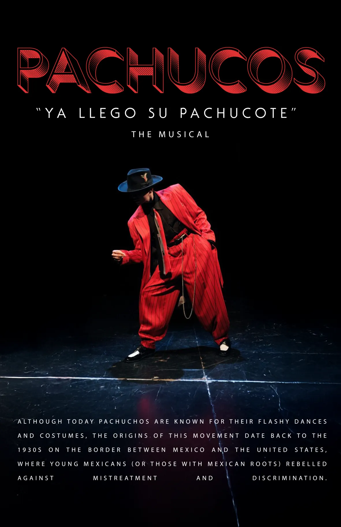 Imagen 24