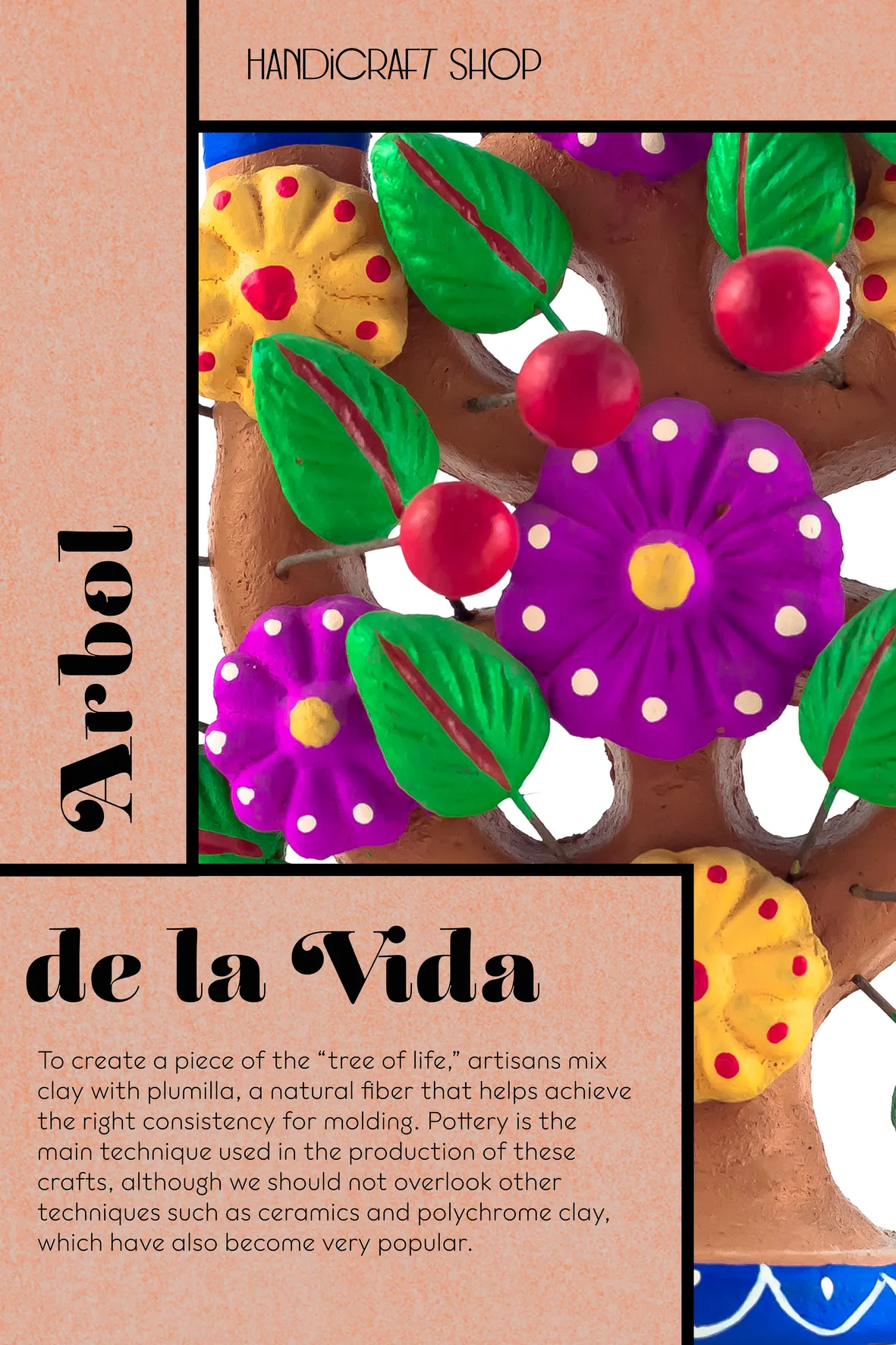 Imagen 9