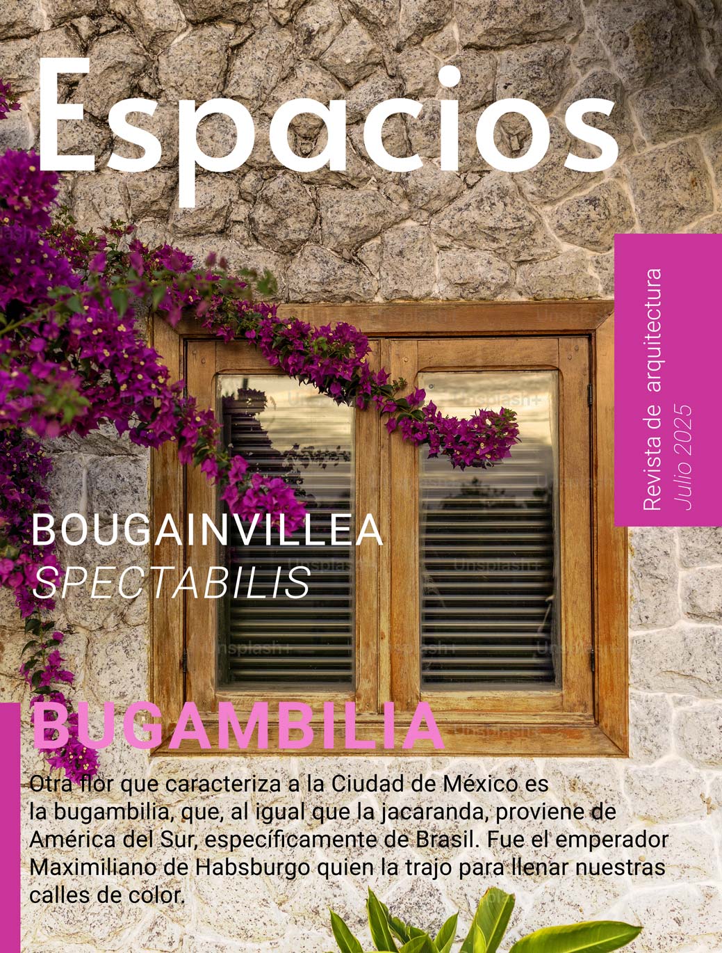 Imagen 13