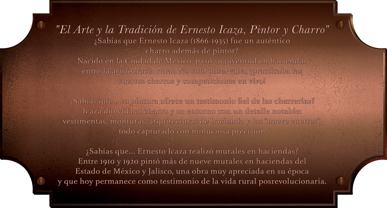 Imagen 8