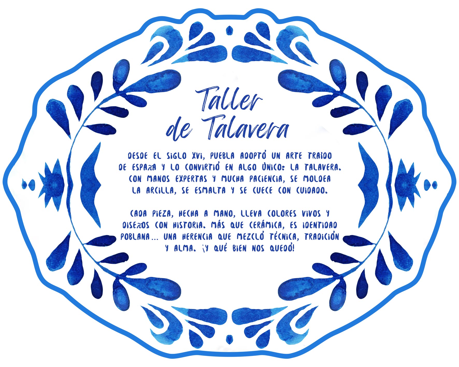 Imagen 14