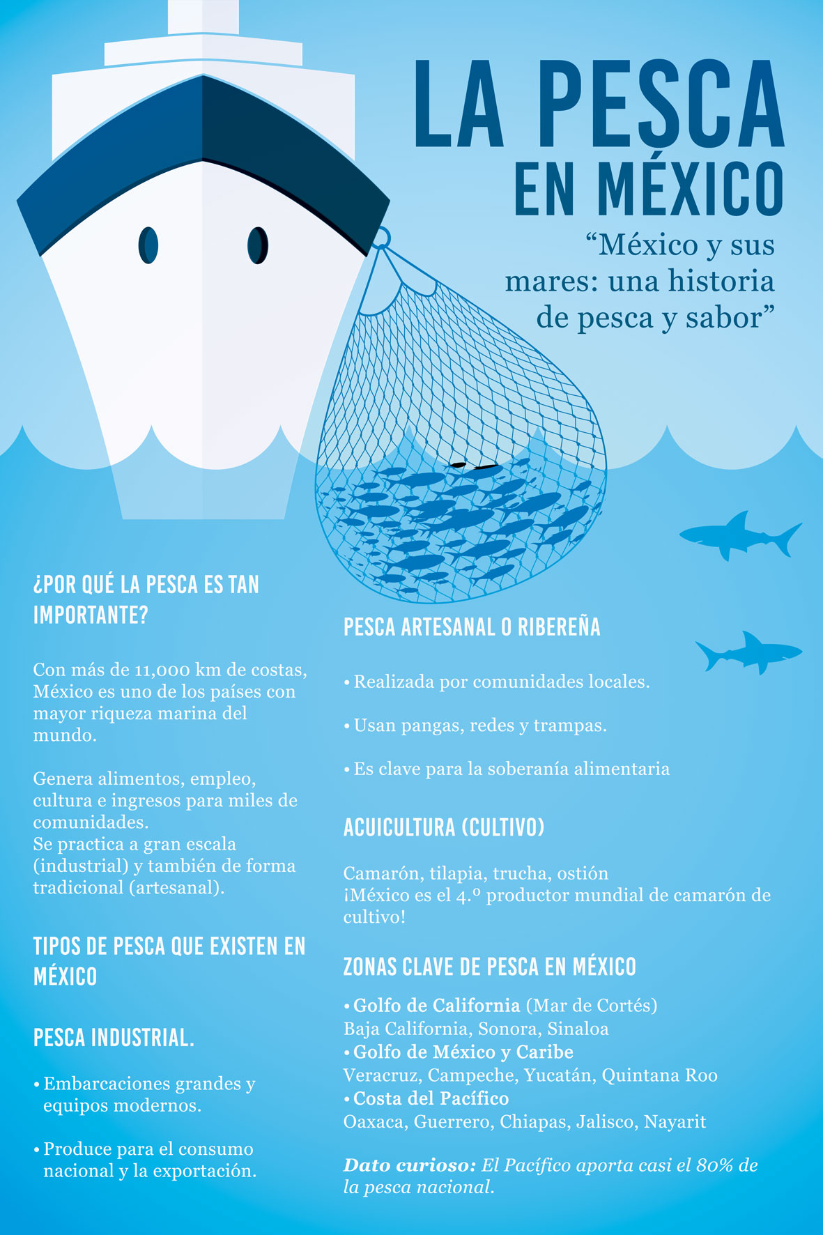 Imagen 10