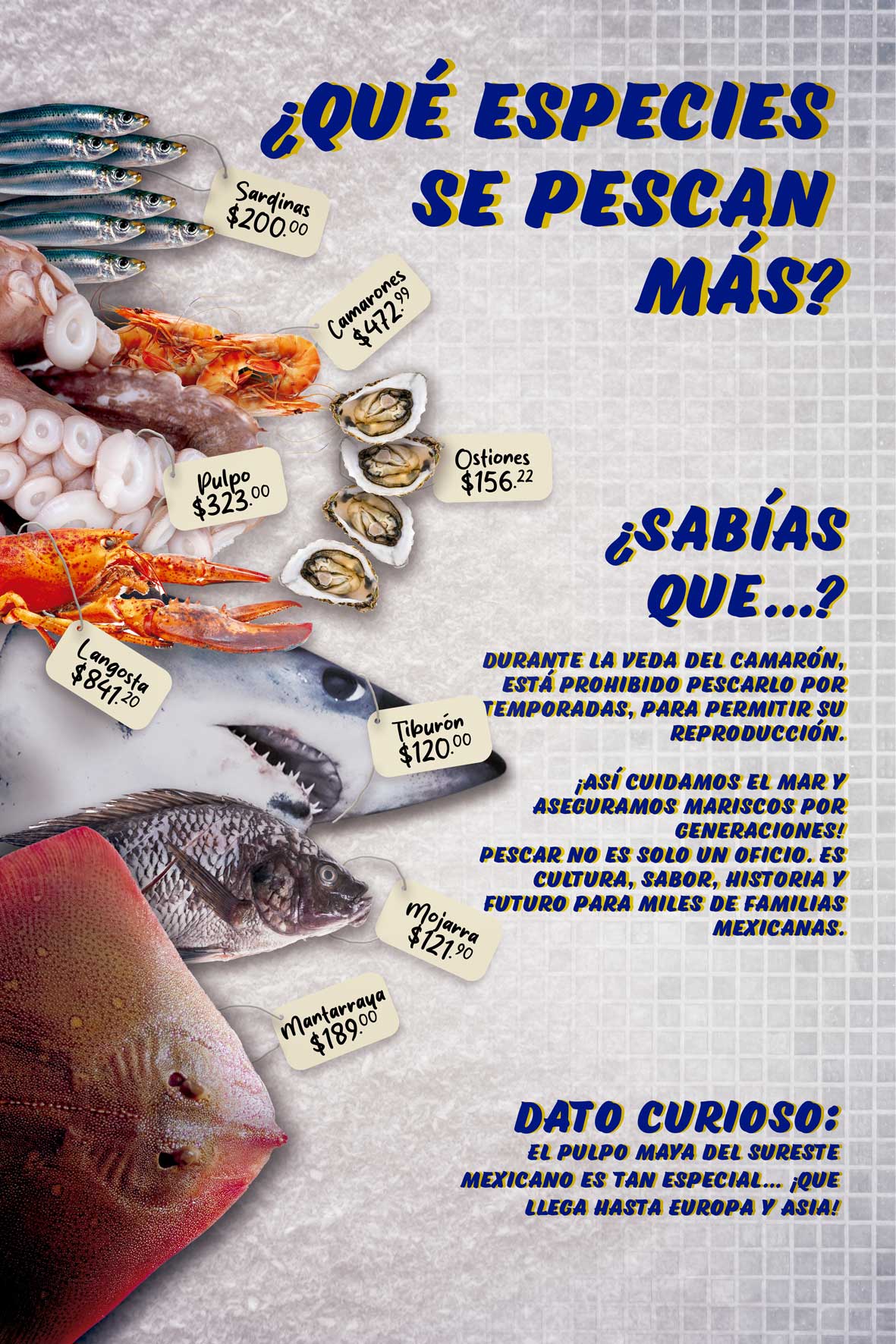 Imagen 11
