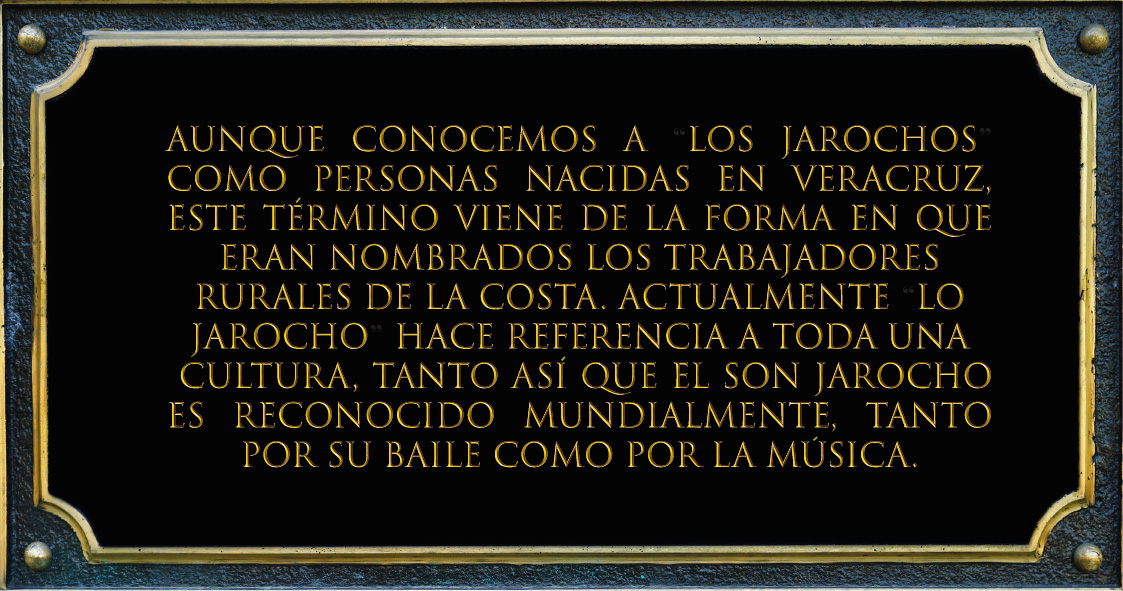Imagen 13