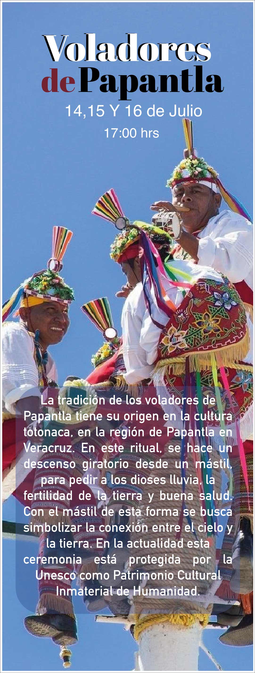 Imagen 14