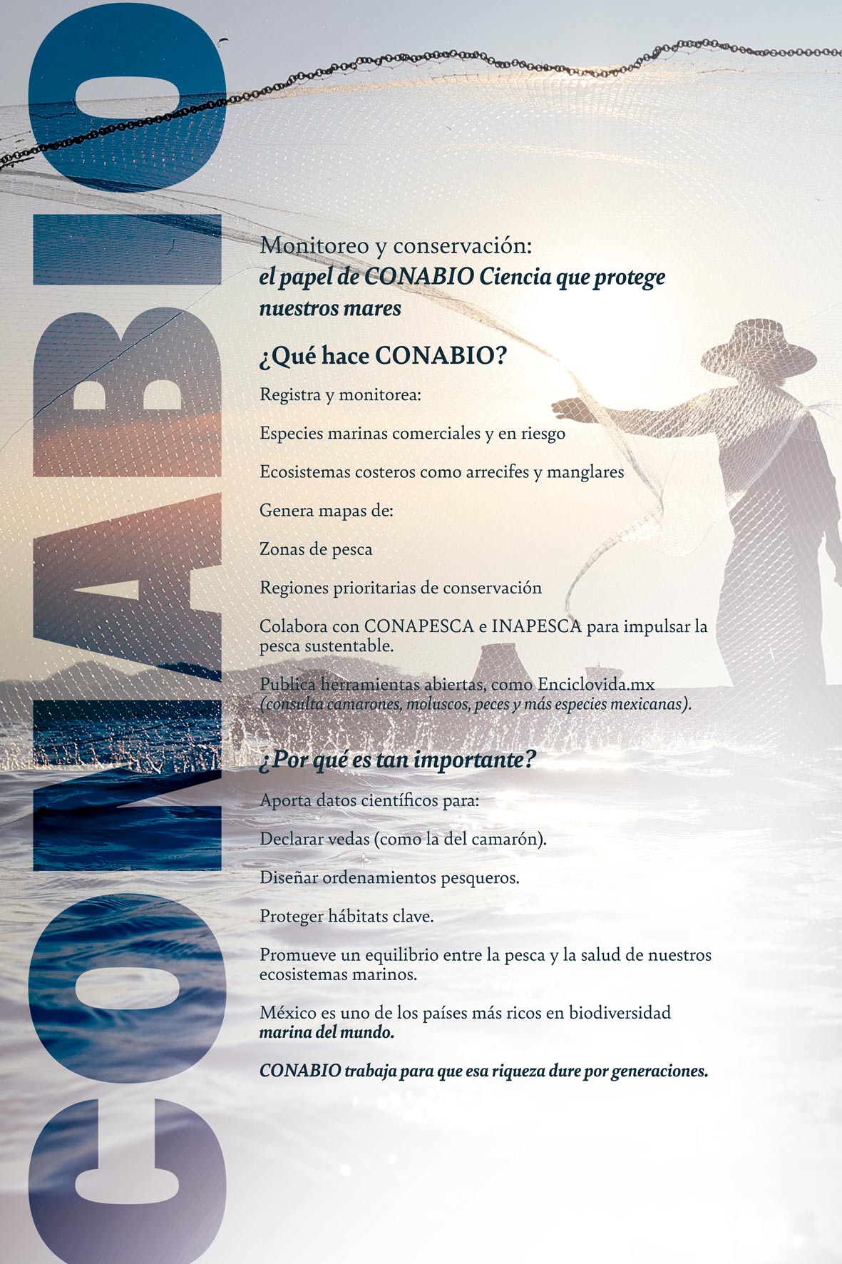 Imagen 9